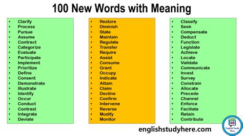 nueva in english|nueva meaning in english.